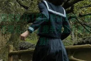 51朝阳群众更新：这次爆料入口藏在哪儿，花了我半天还不如看猫咪视频！