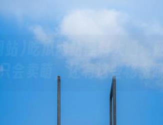 吃瓜网站黑料大晒：网红们不仅只会卖萌，还有这些秘密哦！