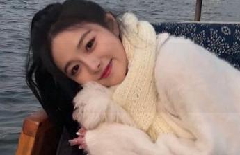 黑料不打烊，永久更新的瓜料背后又藏了什么？